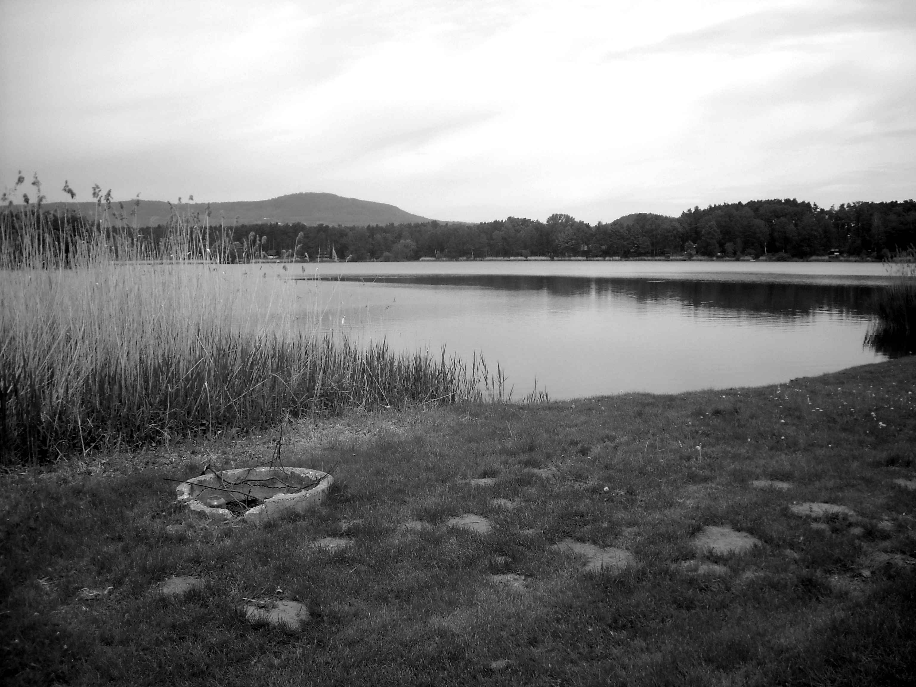 DSCN1024.JPG